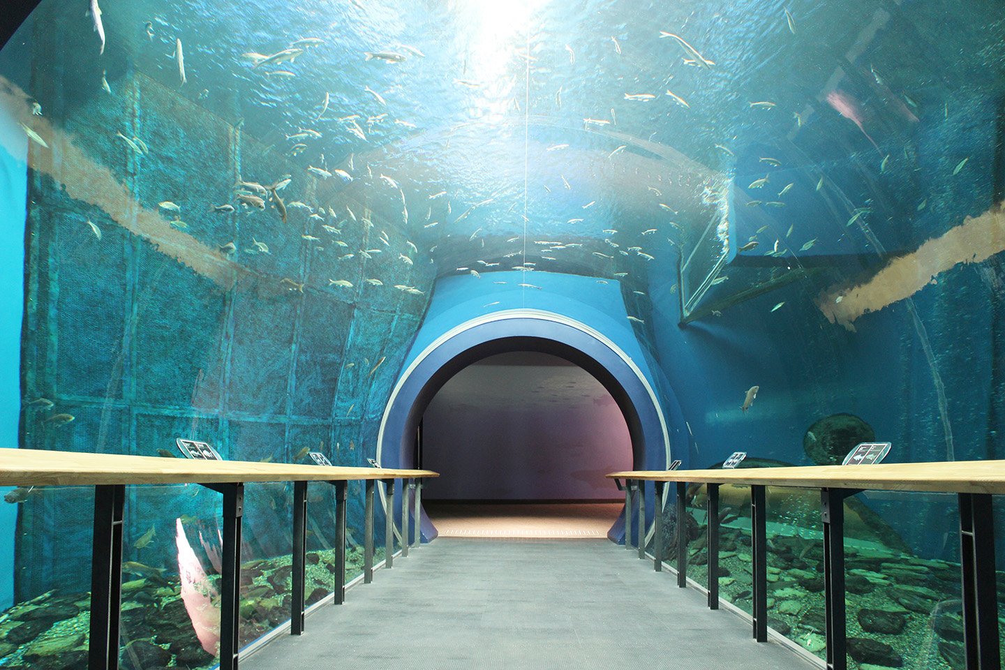 🖼️ 비와호 박물관 (비와코 하쿠부츠칸) 이미지 6